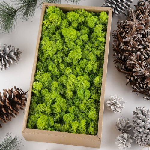 Artificial Decorative Moss