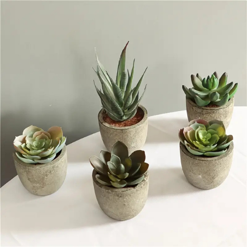Artificial Cactus Plants
