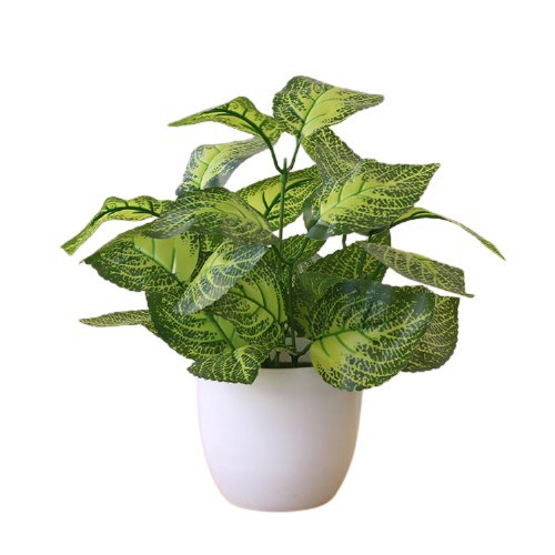 Artificial Perilla Plants